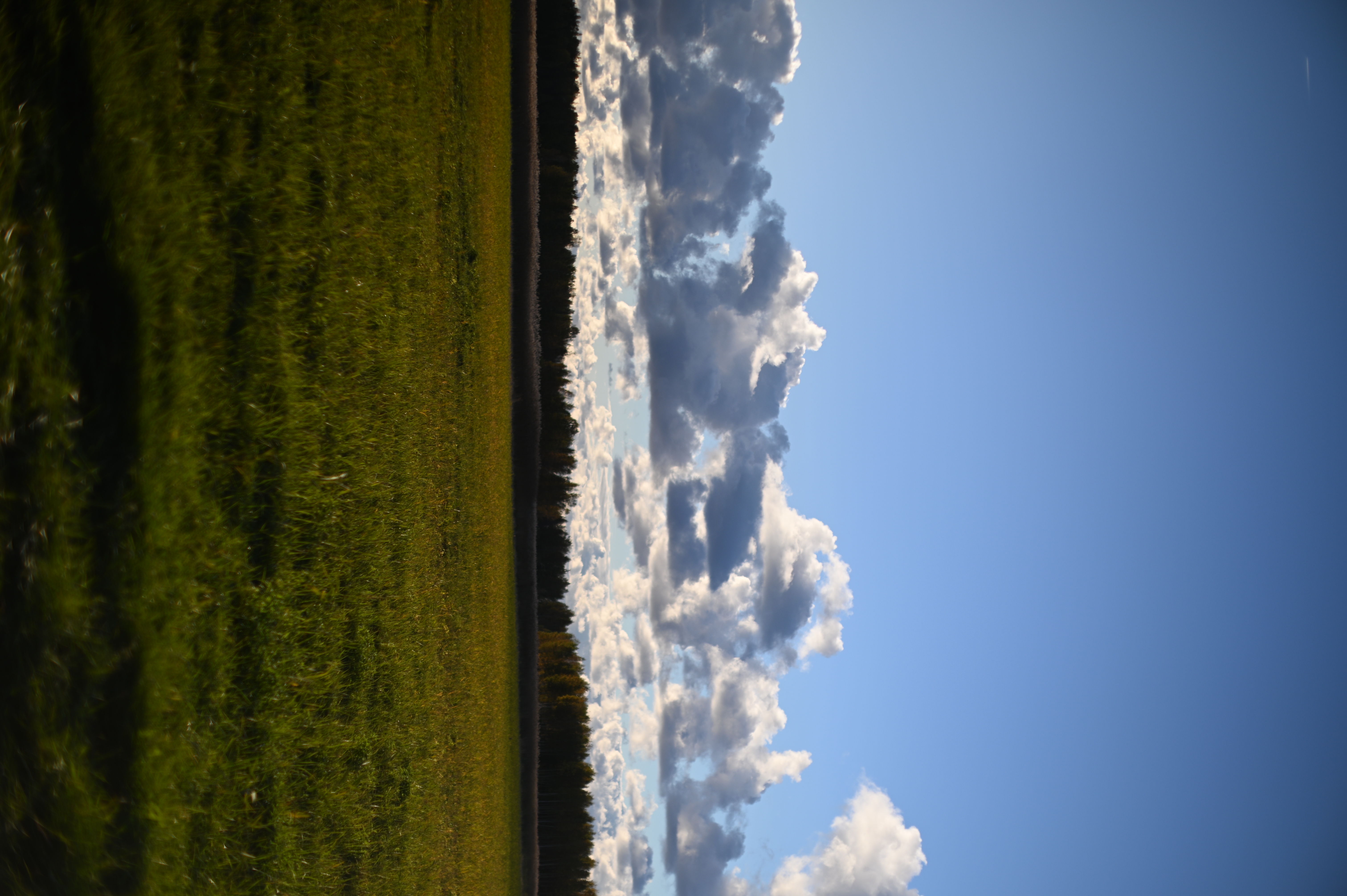 2025/10/18 - walk/DSC_0174.JPG